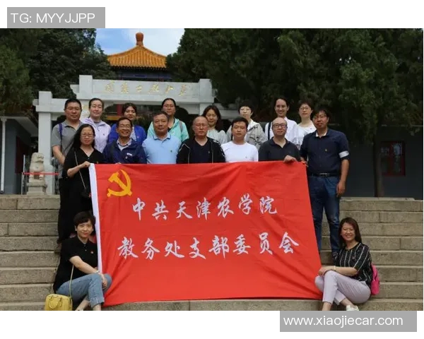 南京羽毛球队逆袭之路的真实记录与奋斗精神的传承