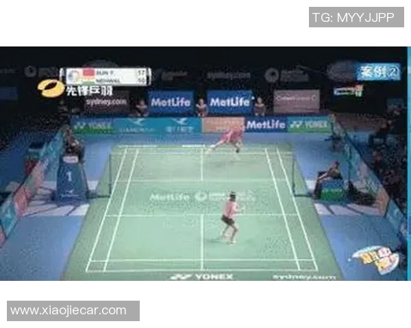 南京羽毛球队意识对比深度解析与发展潜力探讨