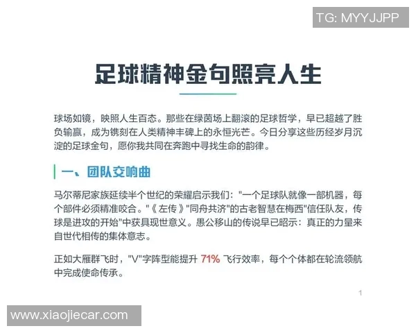 南京足球队的精神探秘与荣耀传承之路