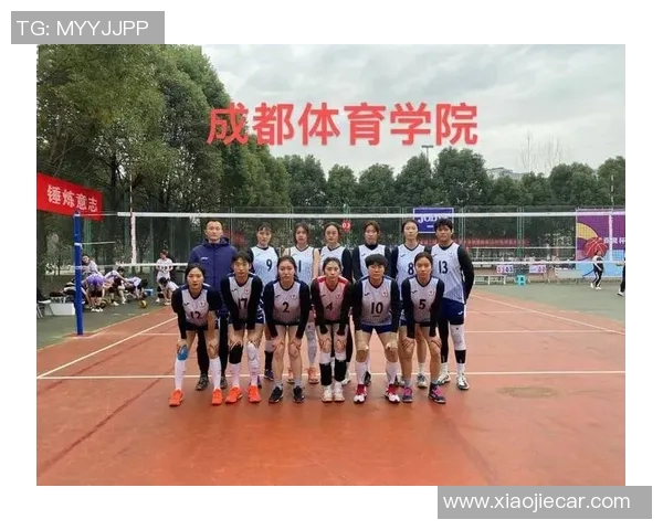 成都排球队个人能力分析与联赛表现评估