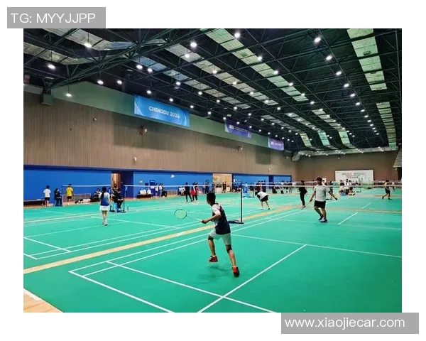 成都羽毛球队在锦标赛中的比赛经验与表现分析与点评