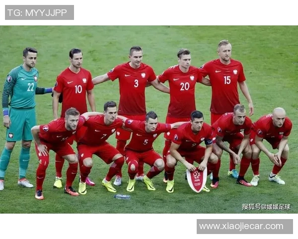 挪威足球明星闪耀赛场他们的精彩表现引发全球关注 挪威足球明星闪耀赛场他们的精彩表现引发全球关注