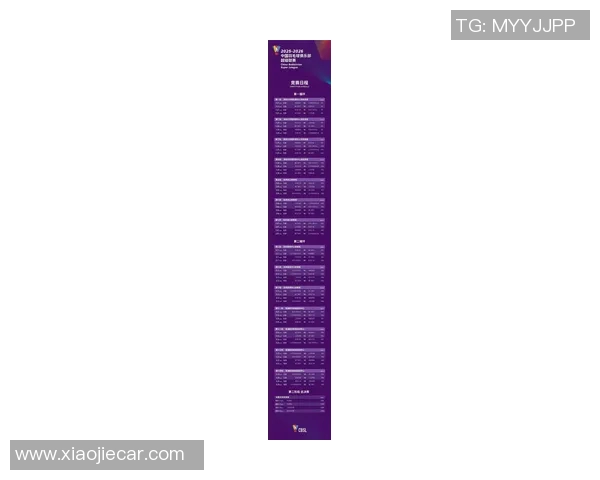 深圳羽毛球队状态飙升位列最新TOP10榜首引领羽坛风潮