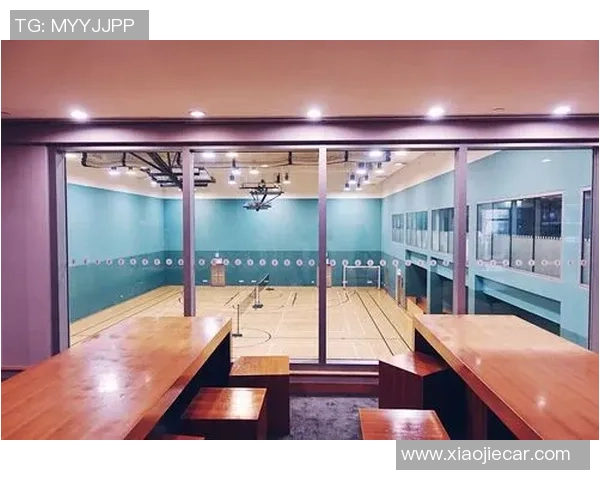 深圳羽毛球队的速度之美与技术探秘全面解析 深圳羽毛球队的速度之美与技术探秘全面解析